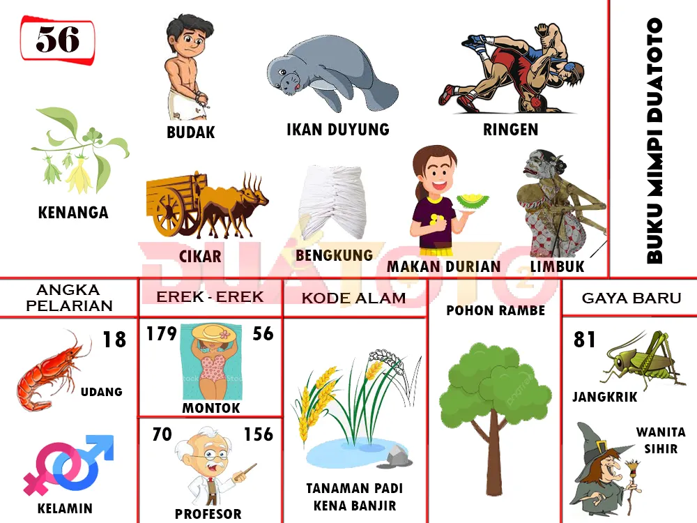 buku mimpi erek erek togel 56